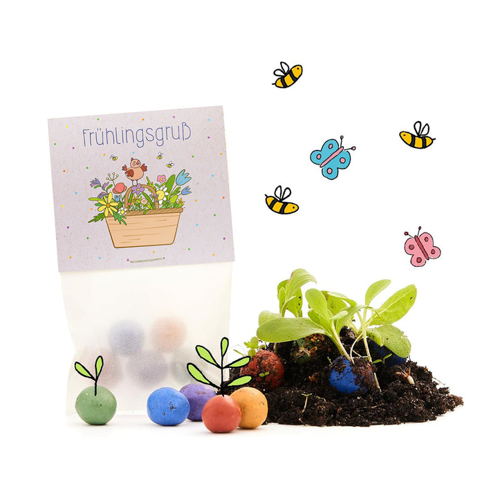 Sacs de graines de vœux de printemps avec bombes de graines colorées, terre, jeunes plants et abeilles et papillons dessinés.