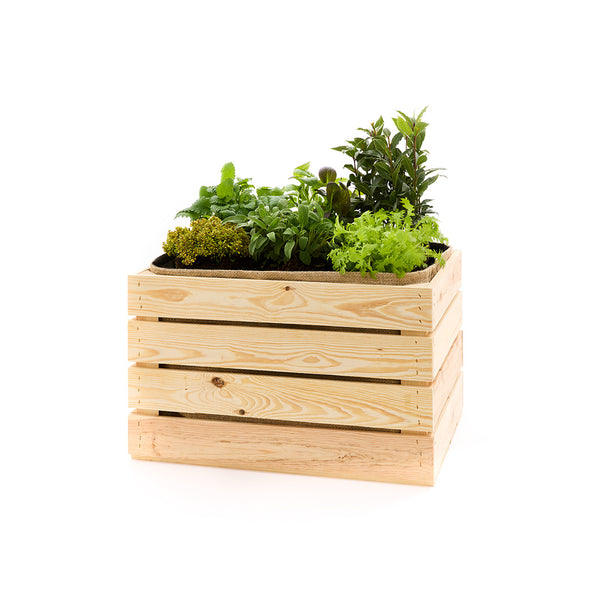 Caisse de pommiers plantée avec insert en jute