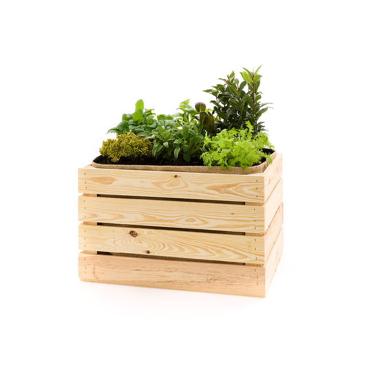 Caisse de pommiers plantée avec insert en jute