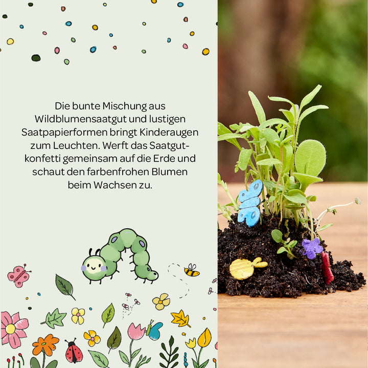 Illustration colorée avec des graines de fleurs sauvages, une chenille verte, des fleurs et des papillons dessinés, à côté du sol avec des semis de fleurs sauvages et des formes de papier de graines colorées.