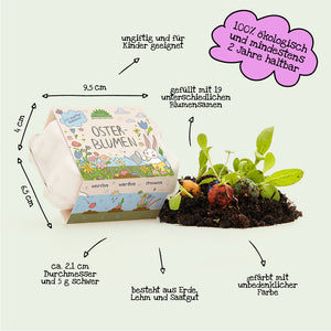 Une boîte en carton étiquetée « Fleurs de Pâques », à côté d'elle des boules de graines colorées et des semis dans le sol ; avec des étiquettes allemandes indiquant les mesures, les ingrédients et les propriétés.
