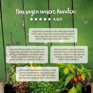 Avis des clients sur les plates-bandes surélevées devant un mur en bois vert, comprenant des plantes et des tomates, avec une note de 4,8 sur 5 étoiles.