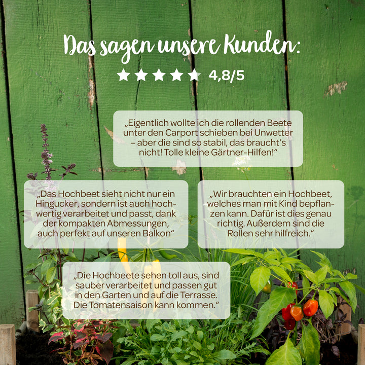 Avis des clients sur les plates-bandes surélevées devant un mur en bois vert, comprenant des plantes et des tomates, avec une note de 4,8 sur 5 étoiles.