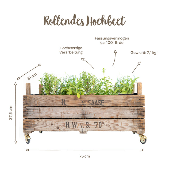 Lit surélevé en bois sur roues planté d'herbes aromatiques, étiqueté avec dimensions (75 x 51 x 37,5 cm), capacité environ 100 litres de terre et poids 7,1 kg.