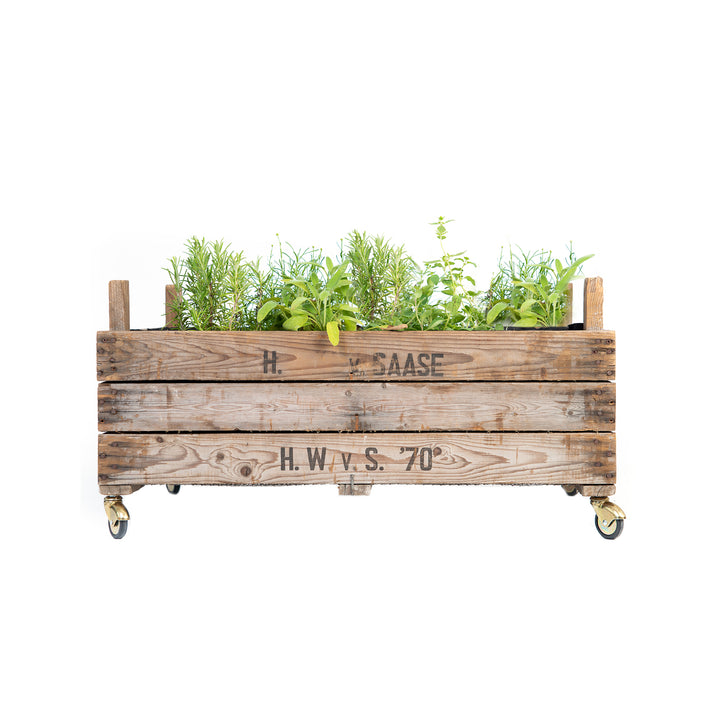 Caisse en bois sur roulettes plantée de diverses herbes.