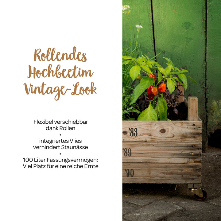 Caisse en bois avec des plantes comme lit surélevé roulant au look vintage devant un mur en bois vert, à côté un texte avec une description du produit.