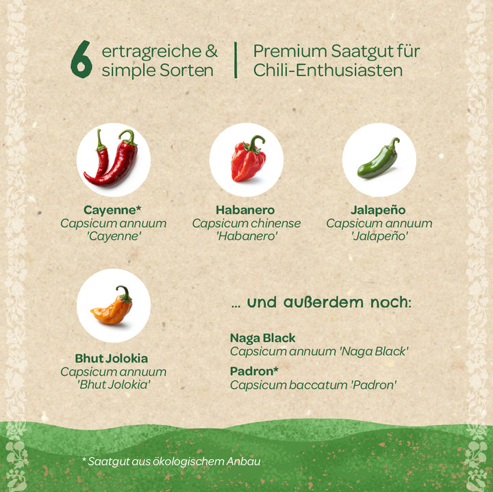 Six variétés de piments différentes sous forme de graines de qualité supérieure pour les amateurs de piment, dont Cayenne, Habanero, Jalapeño, Bhut Jolokia, Naga Black et Padron, présentées sur un fond beige.