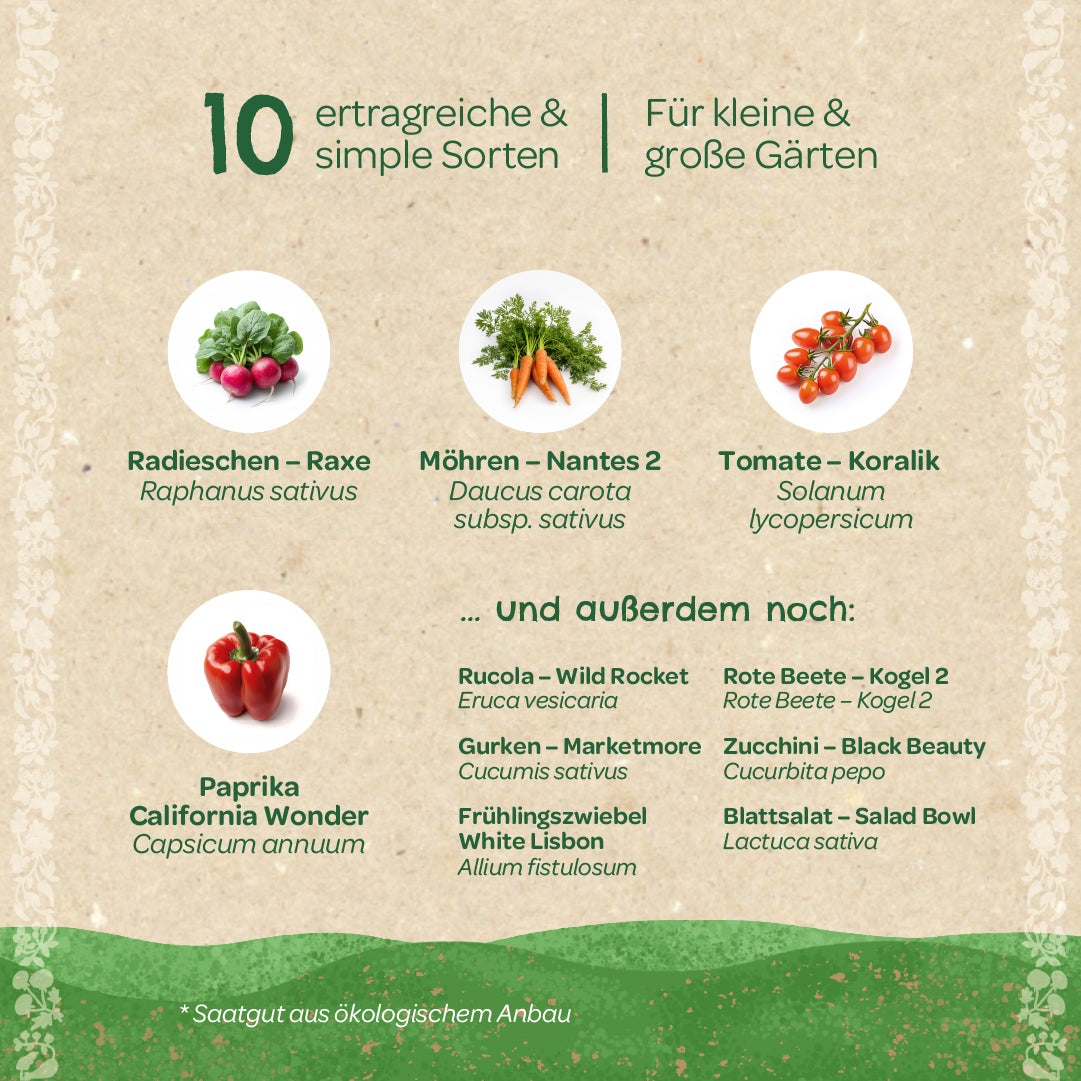 Graphique d'information avec des images de radis, de carottes, de tomates et de poivrons, ainsi qu'une liste de dix légumes à haut rendement pour les petits et grands jardins, avec des noms allemands et botaniques.