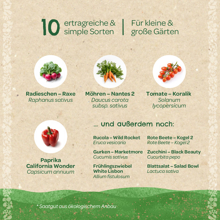 Graphique d'information avec des images de radis, de carottes, de tomates et de poivrons, ainsi qu'une liste de dix légumes à haut rendement pour les petits et grands jardins, avec des noms allemands et botaniques.