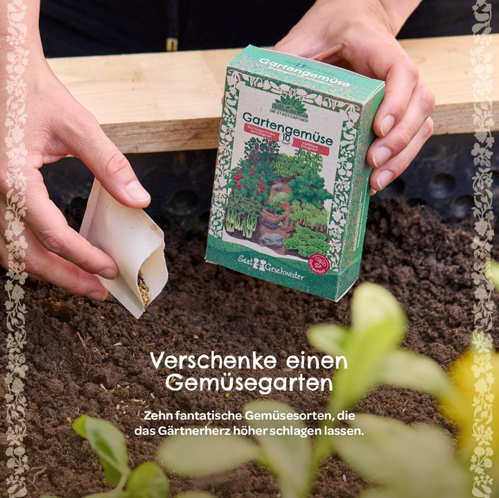 Deux mains plantent des graines de légumes dans le sol, à côté d'un emballage étiqueté « Légumes du jardin ».