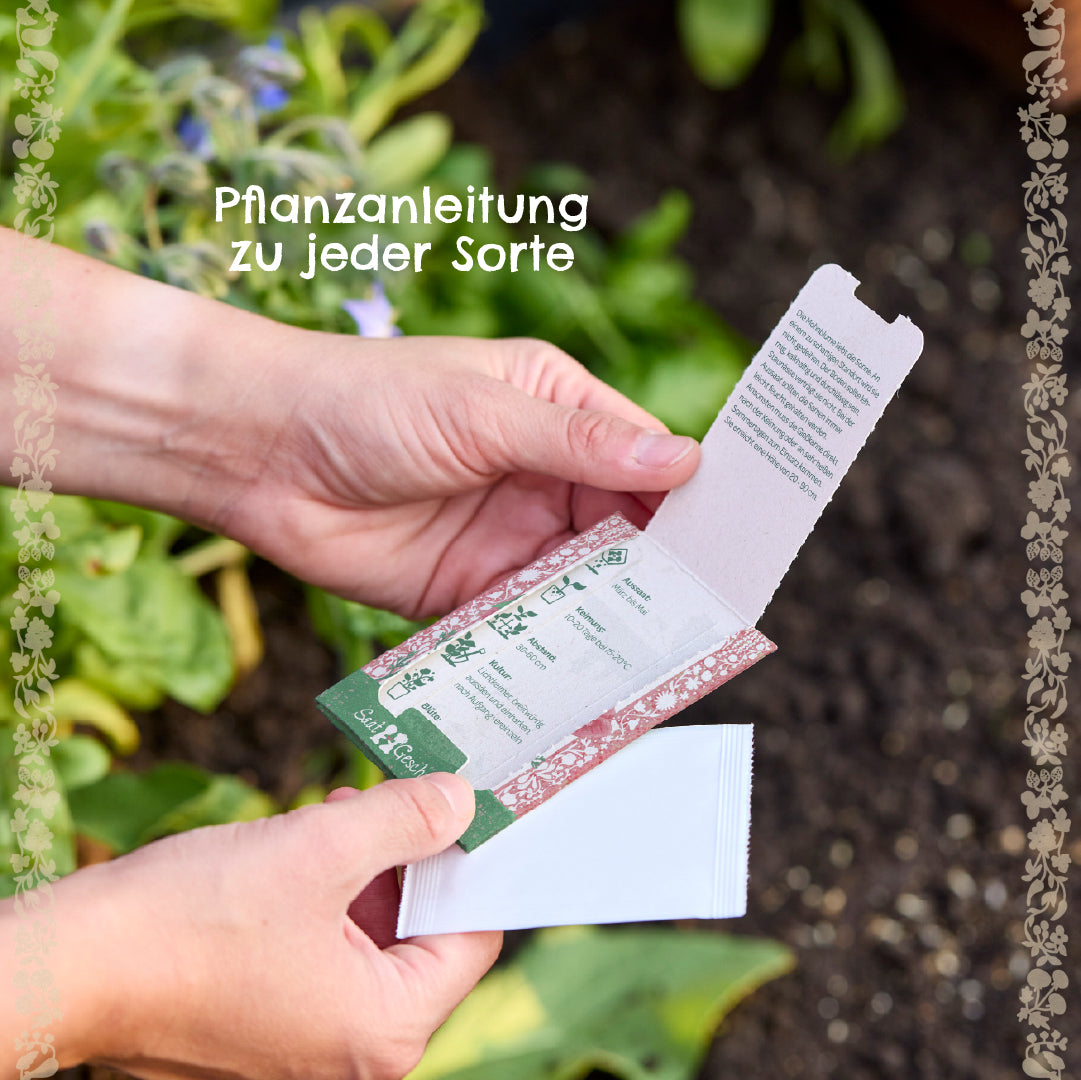 Une personne tenant un paquet de graines avec des instructions de plantation, un arrière-plan avec de la terre et des plantes.