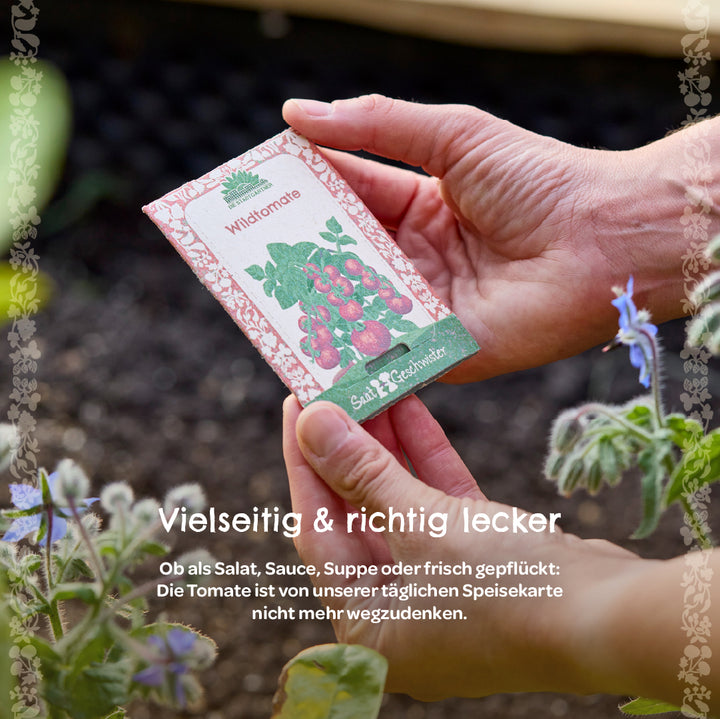 Deux mains tiennent un sachet de graines étiqueté « Tomate sauvage » au-dessus d'un lit de plantes au premier plan ; le texte ci-dessous explique la polyvalence et la popularité des tomates.