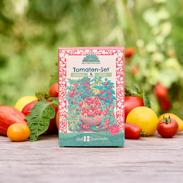 Un paquet de « Tomato Set » avec des illustrations colorées de tomates se dresse sur une table en bois, entouré de diverses tomates fraîches à l'extérieur.