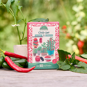 Un paquet de kits de graines de piment est posé sur une table en bois, entouré de piments frais et de feuilles vertes, avec un paysage de jardin flou en arrière-plan.