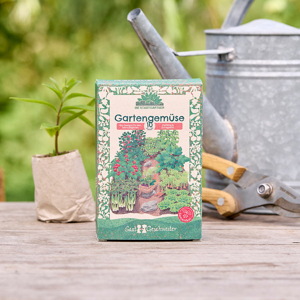 Paquet de graines de légumes de jardin sur une table en bois, à côté d'une petite plante, d'un arrosoir et d'un sécateur de jardin en arrière-plan.