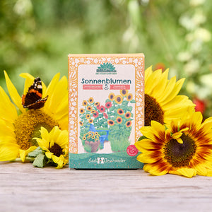 Un paquet de graines de tournesol est posé sur une table en bois, entouré de tournesols et d'un papillon à l'extérieur.