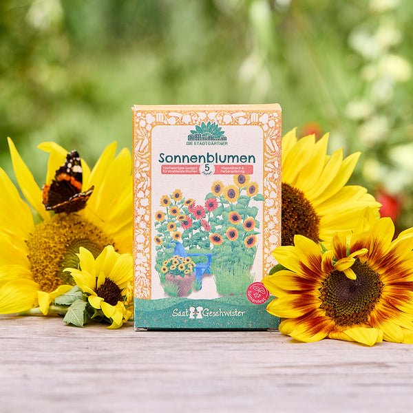 Un paquet de graines de tournesol est posé sur une table en bois, entouré de tournesols et d'un papillon à l'extérieur.