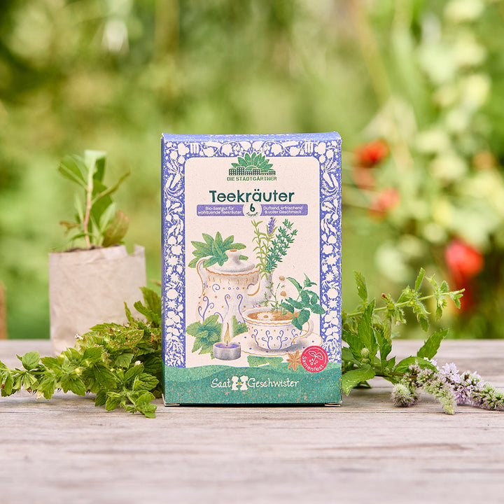 Un paquet de « tisanes » est posé sur une table en bois à l’extérieur, entouré d’herbes fraîches avec un arrière-plan de jardin flou.