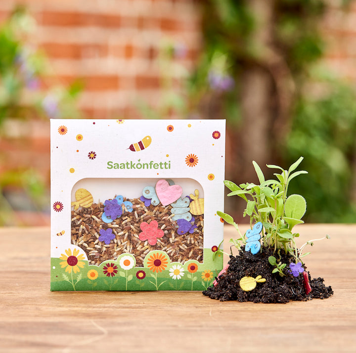 Emballage avec des « confettis de graines » et à côté de jeunes plantes poussant du sol.
