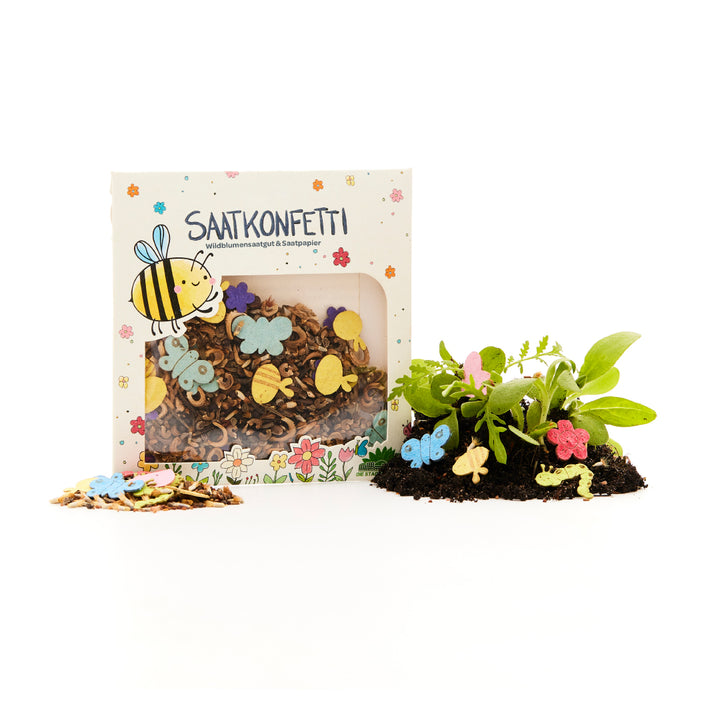 Emballage avec des confettis de graines fabriqués à partir de graines de fleurs sauvages et de papier de graines aux formes colorées, à côté de terre avec des plantes en germination et des confettis décoratifs.
