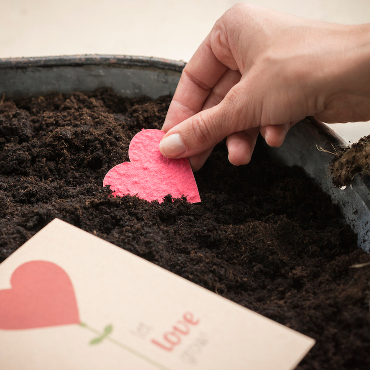 Une main plante un cœur en papier rouge dans un sol sombre, à côté se trouve une carte avec un motif de cœur.
