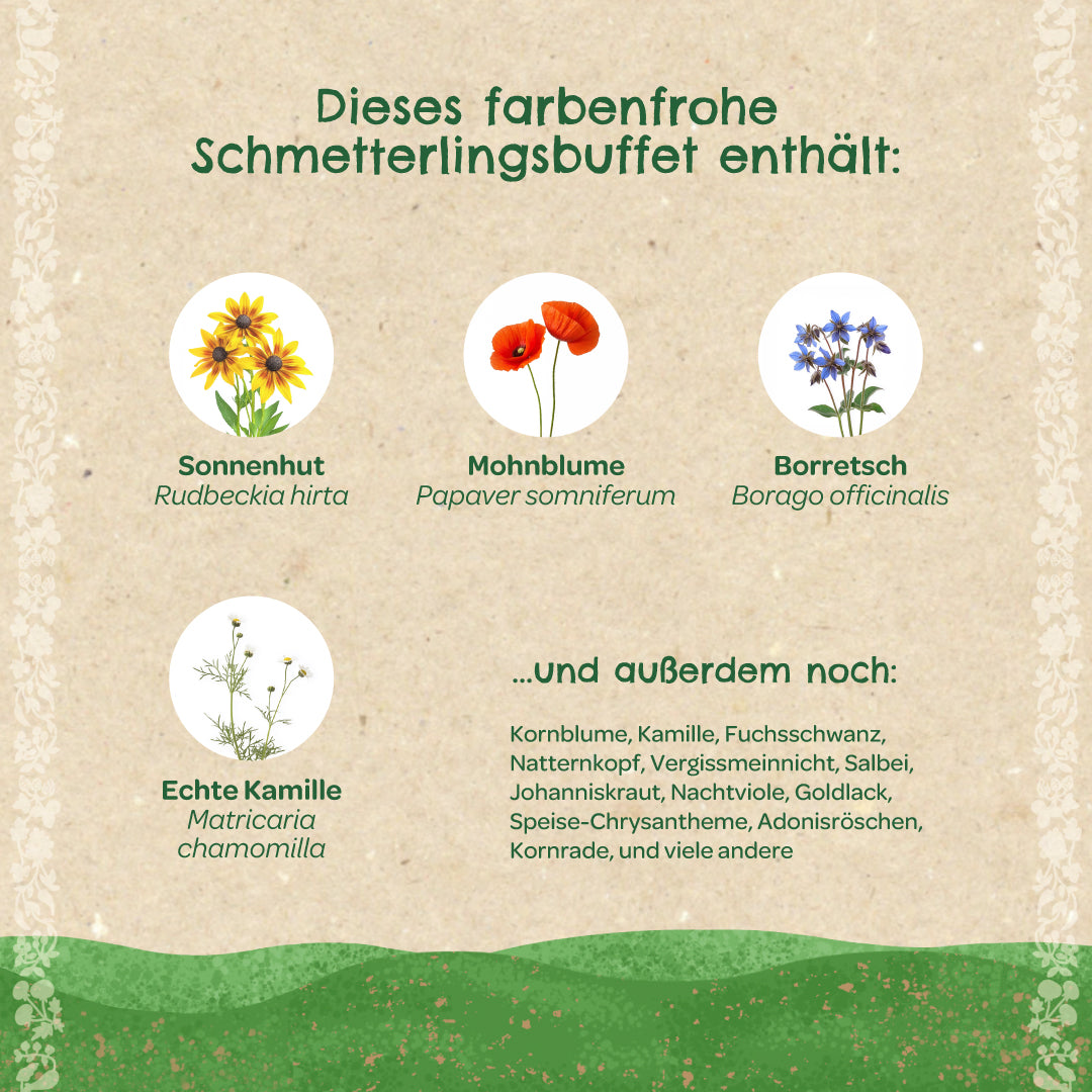 Infographie en allemand avec diverses fleurs sauvages telles que l'échinacée, le pavot, la bourrache et la camomille présentées sous forme de buffet de papillons, ainsi qu'une liste d'autres espèces de fleurs.