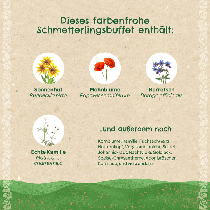 Infographie en allemand avec diverses fleurs sauvages telles que l'échinacée, le pavot, la bourrache et la camomille présentées sous forme de buffet de papillons, ainsi qu'une liste d'autres espèces de fleurs.