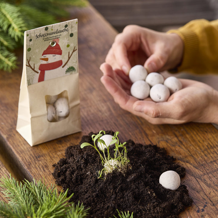 Des mains tiennent plusieurs boules de graines rondes au-dessus du sol avec de petits semis, à côté d'un sac étiqueté « Snowman Bellies ».