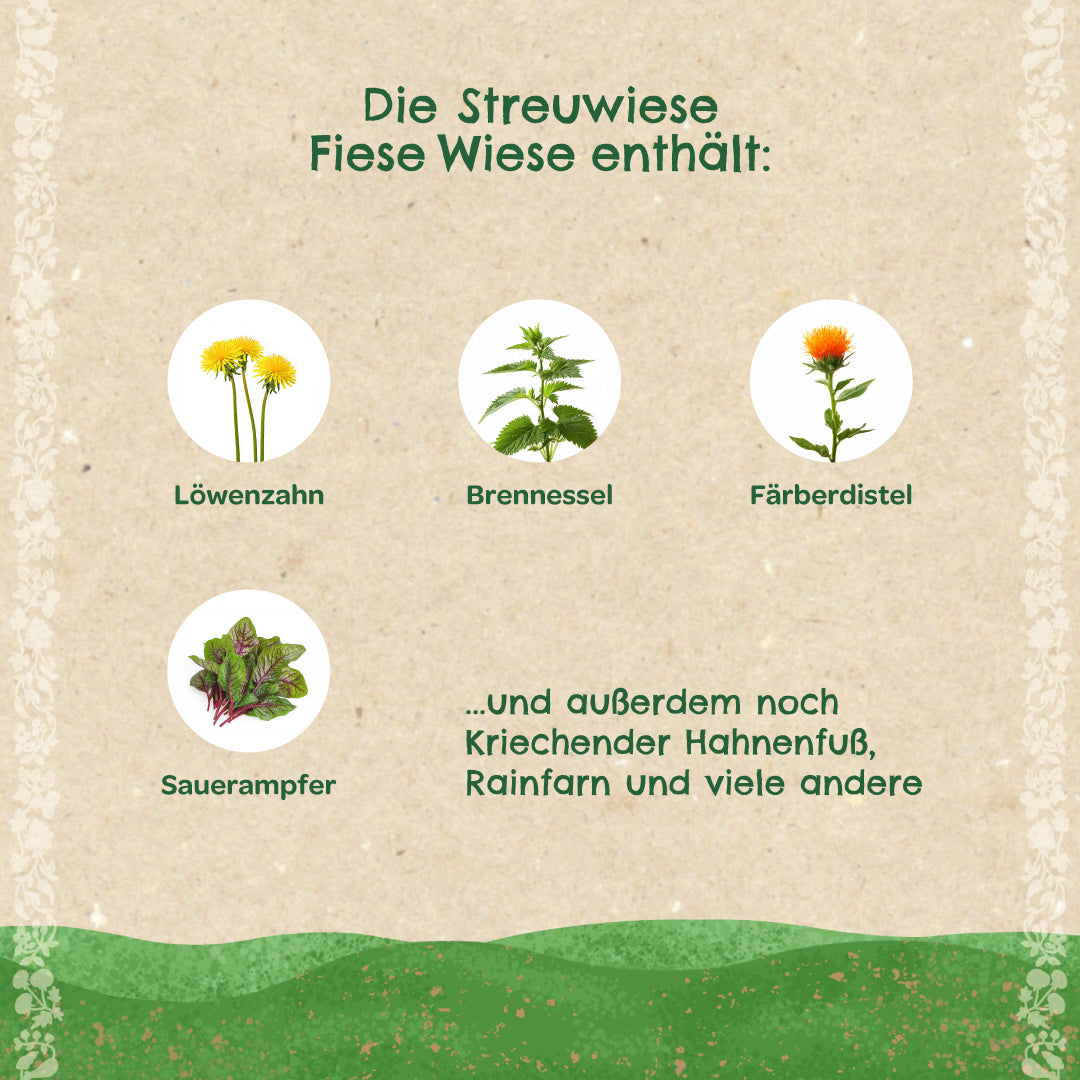 Graphique avec des illustrations et des noms de pissenlit, d'ortie, de carthame et d'oseille, ainsi qu'un texte répertoriant d'autres plantes dans une prairie.
