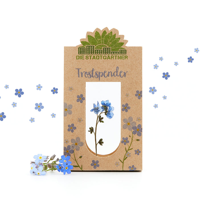 Couette avec myosotis