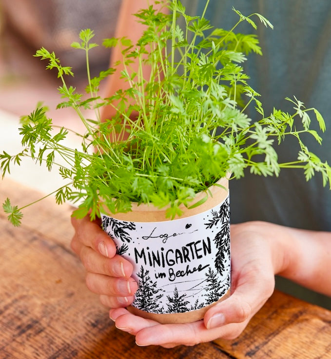 Personne tenant un petit pot de fleurs avec des herbes vertes sur lequel est écrit « Mini jardin dans une tasse ».