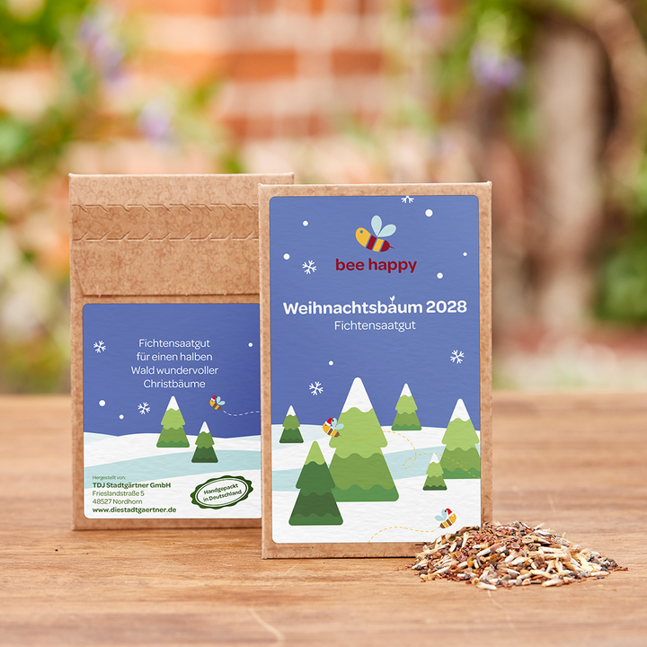 Deux paquets de graines d'épicéa « Arbres de Noël 2028 » sur une table en bois, à côté d'eux une petite quantité de graines, avec une nature floue en arrière-plan.