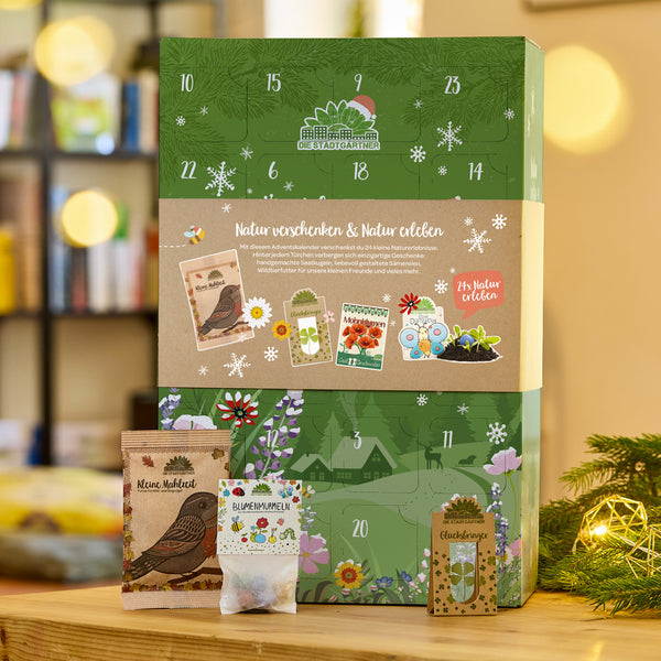 Calendrier de l'Avent vert avec un motif nature, de petits sachets de graines et une illustration d'oiseau, sur une table en bois à côté de décorations de Noël.