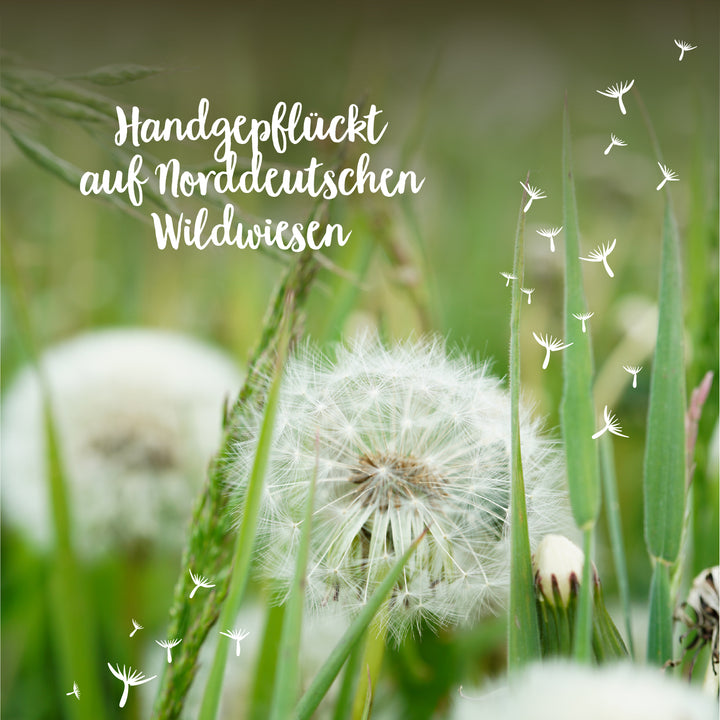 Fleurs de pissenlit et capitules dans une prairie avec le texte « Cueillies à la main dans les prairies sauvages du nord de l'Allemagne ».