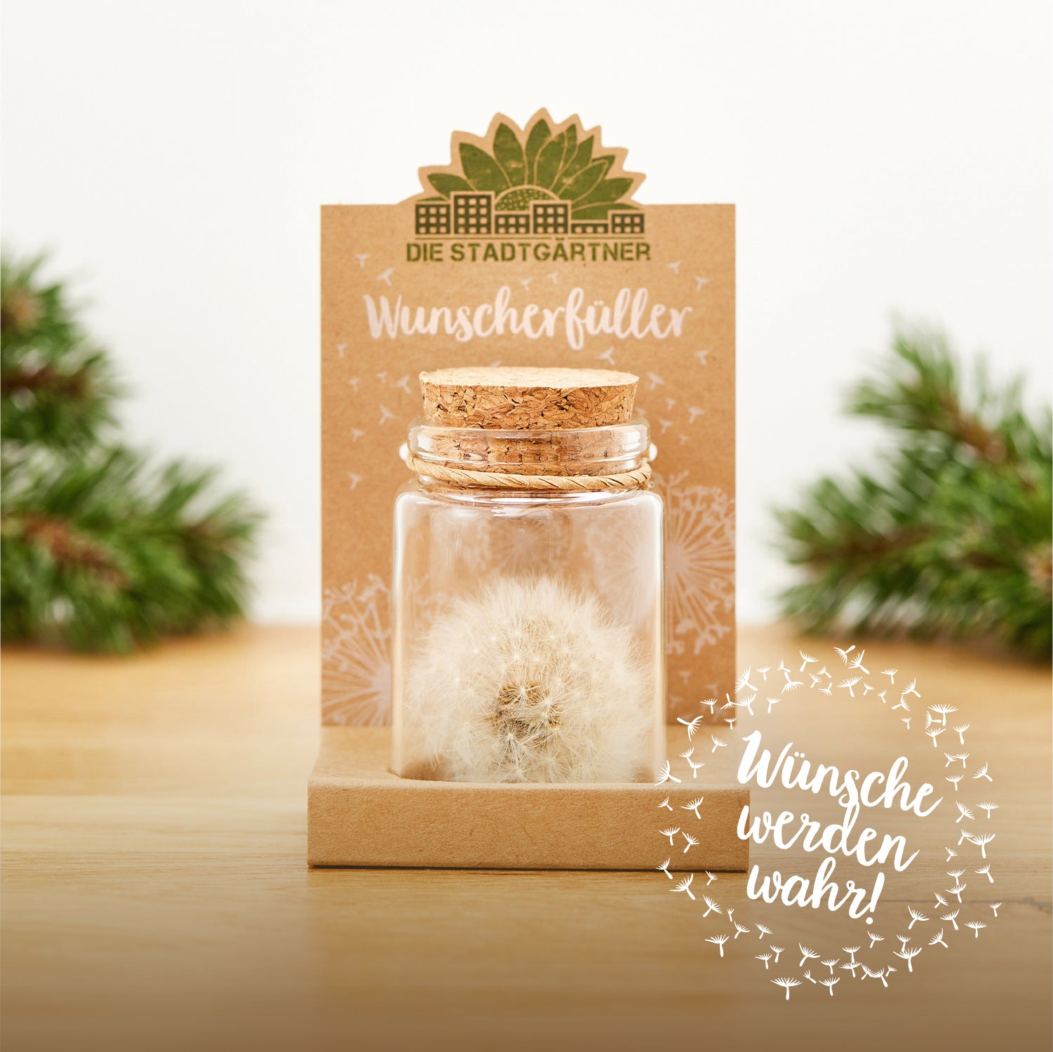 Bocal en verre avec pissenlit et couvercle en liège, emballage du produit avec les mots « Wish Fulfiller » et « Wishes Come True ! », et branches de pin en arrière-plan.