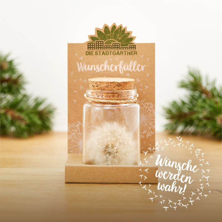 Bocal en verre avec pissenlit et couvercle en liège, emballage du produit avec les mots « Wish Fulfiller » et « Wishes Come True ! », et branches de pin en arrière-plan.