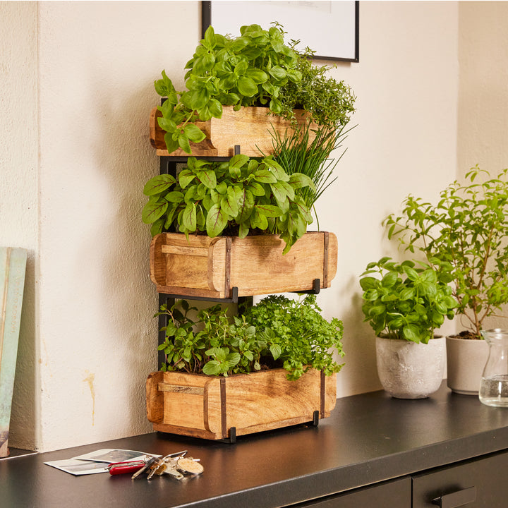 Étagère en bois à trois niveaux avec des herbes fraîches sur un comptoir de cuisine noir, à côté de pots de fleurs et de clés.