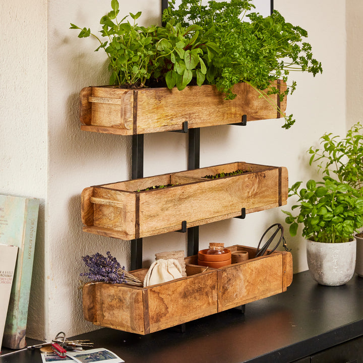 Étagère murale en bois à trois niveaux, remplie d'herbes et de petits articles ménagers, à côté se trouve un pot de fleurs avec du basilic.