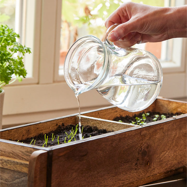 Une main verse de l'eau d'une cruche en verre dans une jardinière en bois avec de jeunes plantes sur un rebord de fenêtre.