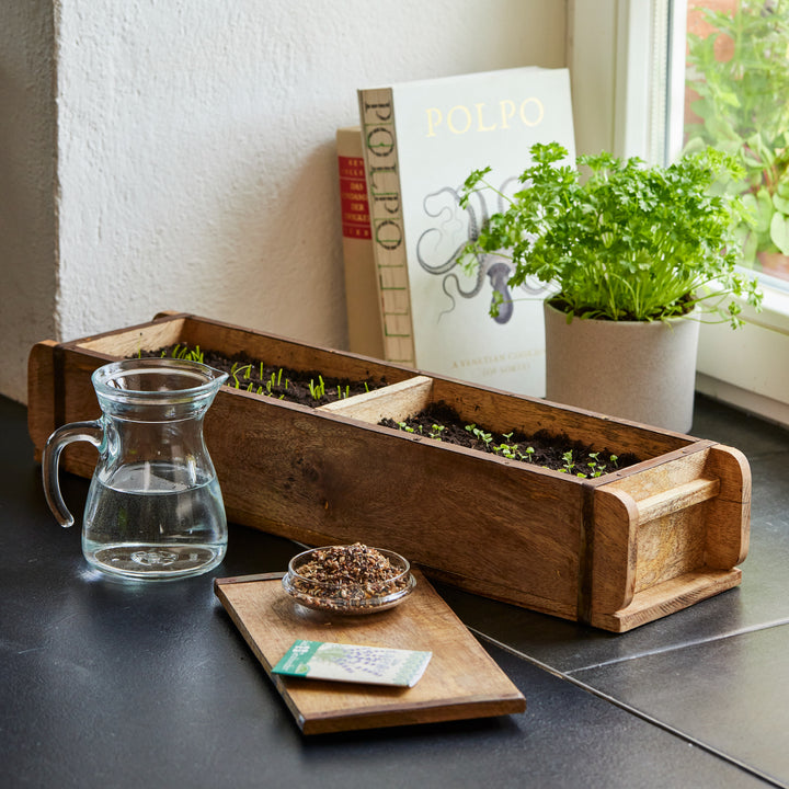 Une boîte en bois avec des plants d'herbes aromatiques sur un rebord de fenêtre, à côté un verre d'eau, un pot de persil frais, un livre de cuisine et un bol de graines.