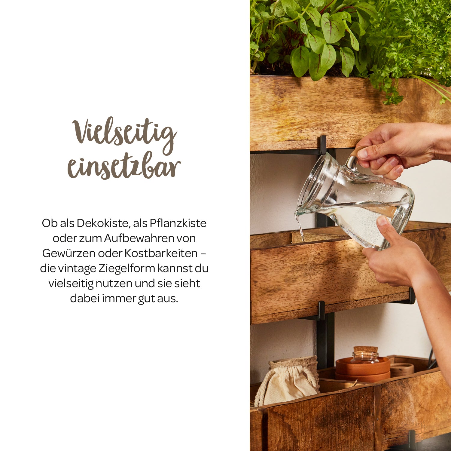 Mains arrosant des plantes dans une jardinière en bois sur un mur avec une carafe à eau, à côté d'un texte sur l'utilisation polyvalente de la boîte.