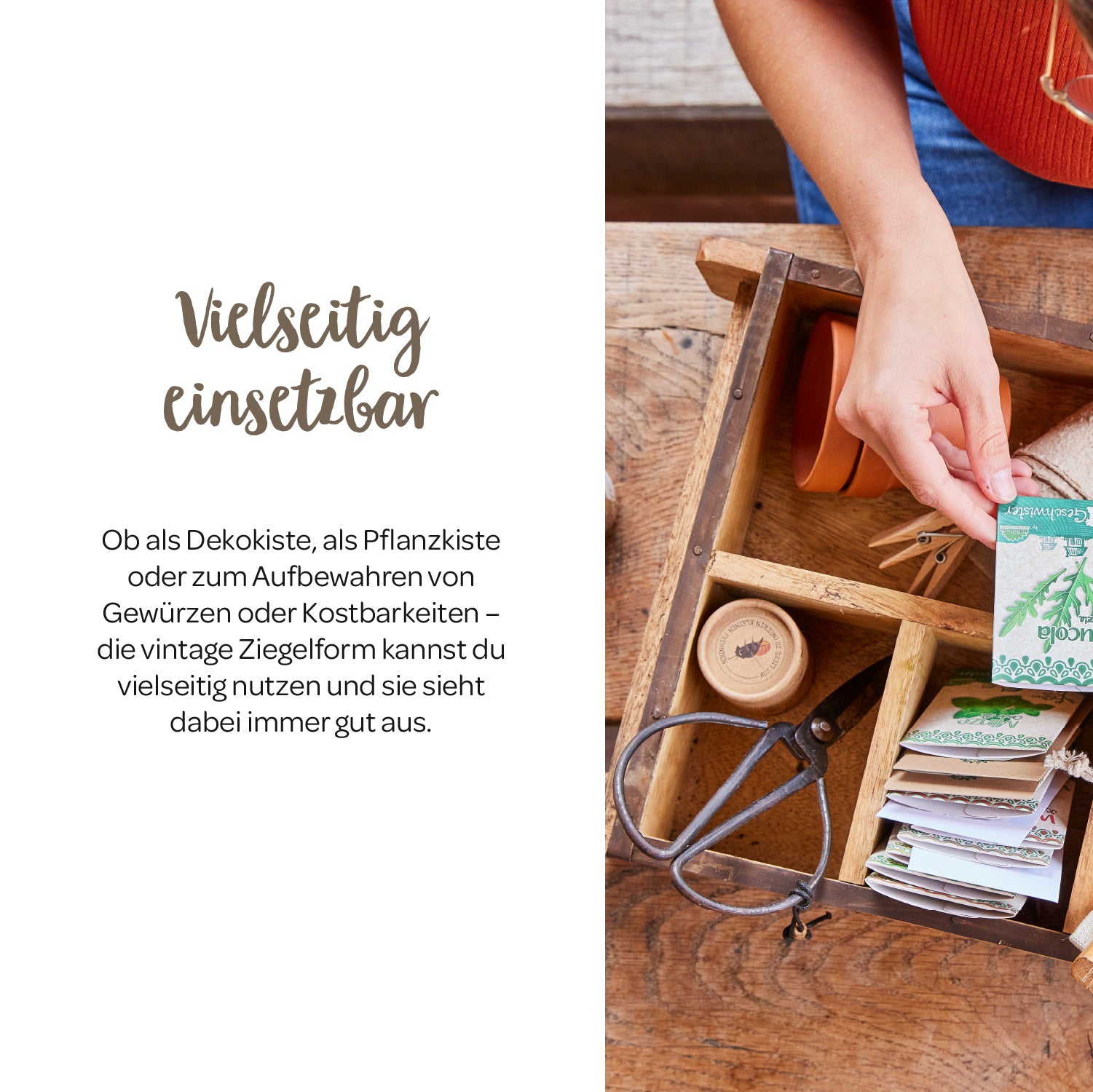 Une personne place des sachets de graines dans une boîte en bois rustique à plusieurs compartiments, contenant d'autres outils de jardinage. À gauche de la boîte figure l'inscription « Polyvalent » et une description des utilisations possibles de la boîte.