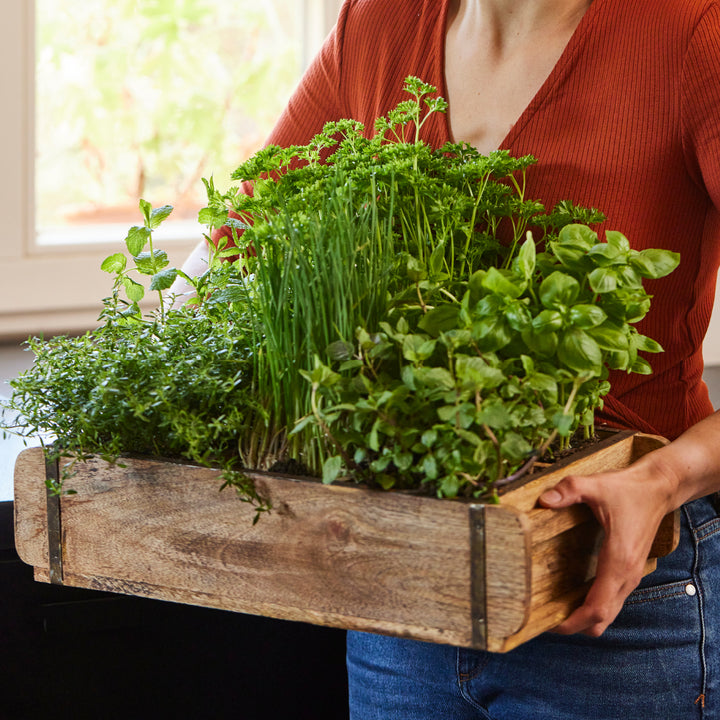 Femme tenant une boîte en bois contenant des herbes fraîches telles que du basilic, du persil et de la ciboulette.
