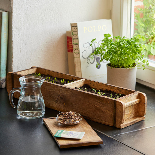 Parterre d'herbes aromatiques en bois avec de jeunes plantes sur un rebord de fenêtre, à côté une carafe en verre d'eau, un petit récipient de graines, un livre et un pot d'herbes fraîches.