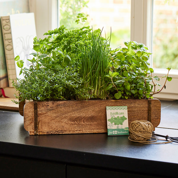 Jardin d'herbes aromatiques dans une boîte en bois sur un comptoir de cuisine devant une fenêtre.