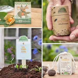 Quatre images représentant des scènes de jardin avec des produits végétaux : un sac de graines de Physalis, une main tenant une boîte de protection contre les abeilles sauvages, un marqueur de plante avec l'inscription « Hello Sunshine » à côté des semis et des bombes de graines à côté d'un sac « Bee Welfare ».