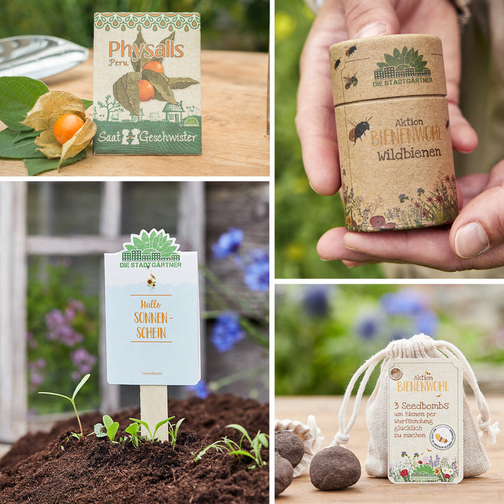 Quatre images représentant des scènes de jardin avec des produits végétaux : un sac de graines de Physalis, une main tenant une boîte de protection contre les abeilles sauvages, un marqueur de plante avec l'inscription « Hello Sunshine » à côté des semis et des bombes de graines à côté d'un sac « Bee Welfare ».