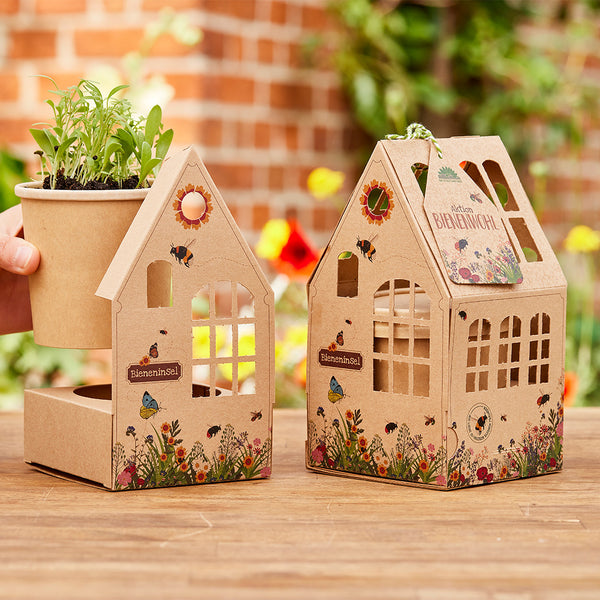 Deux maisons décoratives en carton avec des motifs de fleurs et d'insectes, l'une avec un pot de fleurs contenant des semis verts, toutes deux posées sur une table en bois dans le jardin.