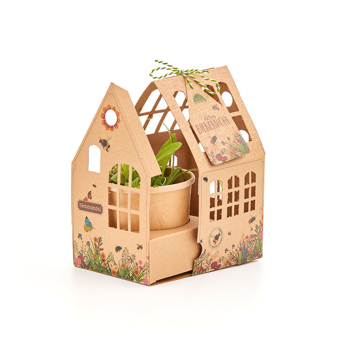 Maison en carton à motifs floraux contenant un petit pot de fleurs avec des plantes vertes.