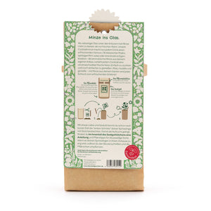 Dos d'un emballage avec des instructions pour faire pousser de la menthe dans un bocal en verre, entouré d'un motif floral vert et blanc.